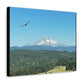 Mt Hood Scenic Canvas Gallery Wraps