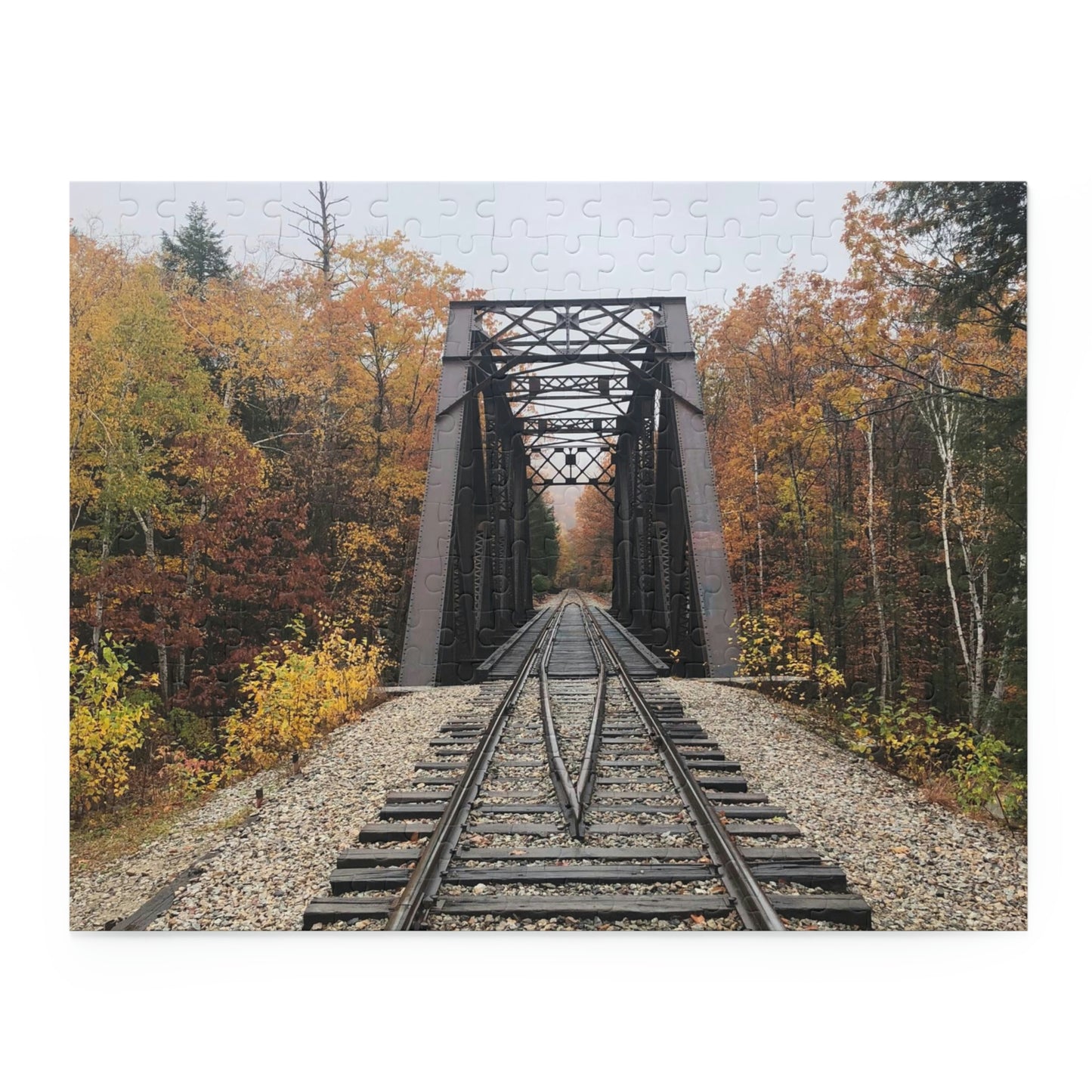 Train Tracks Scenic Puzzle (120, 252, 500-Piece)
