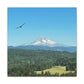 Mt Hood Scenic Canvas Gallery Wraps