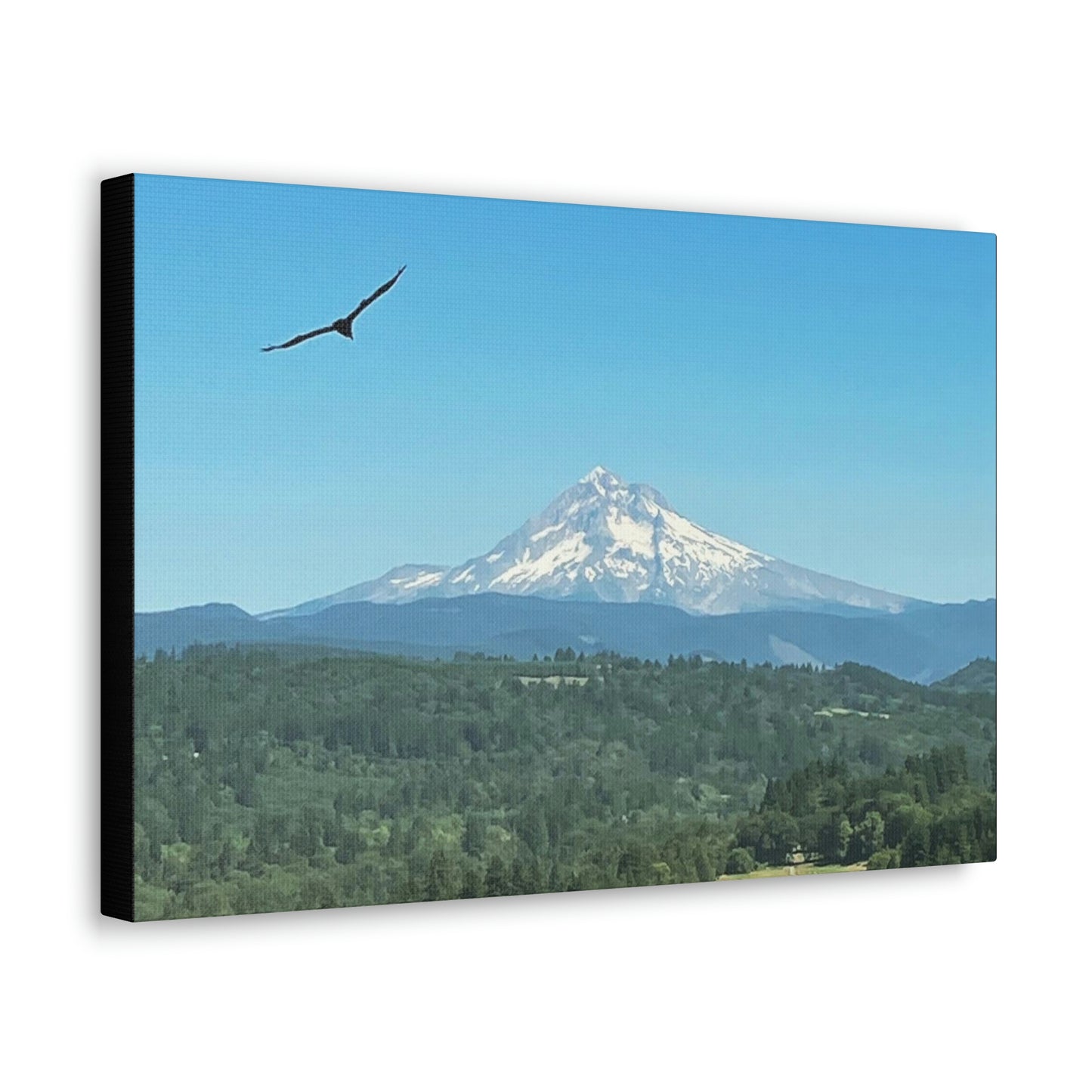 Mt Hood Scenic Canvas Gallery Wraps