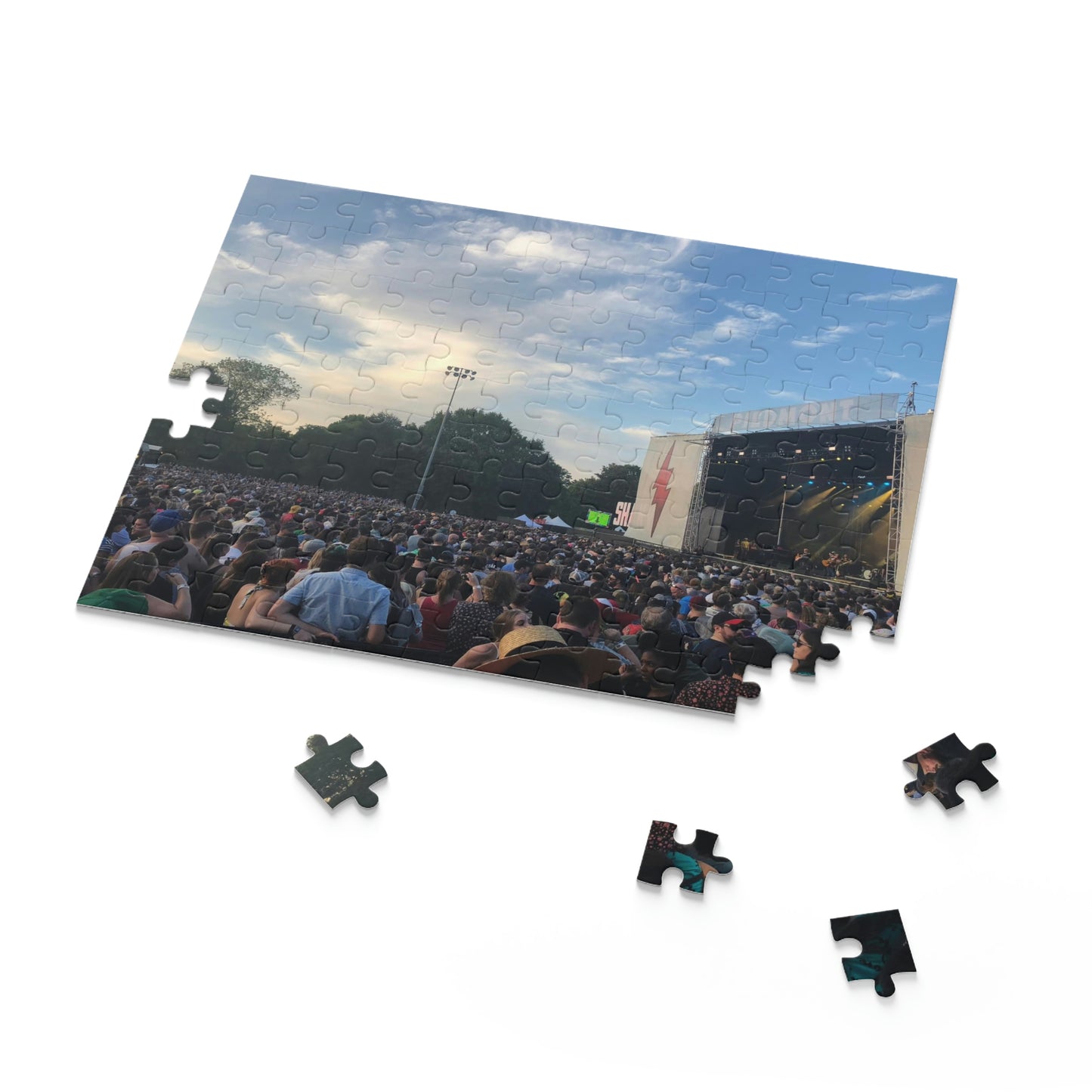 Shaky Knees Festival Scenic Puzzle (120, 252, 500-Piece)