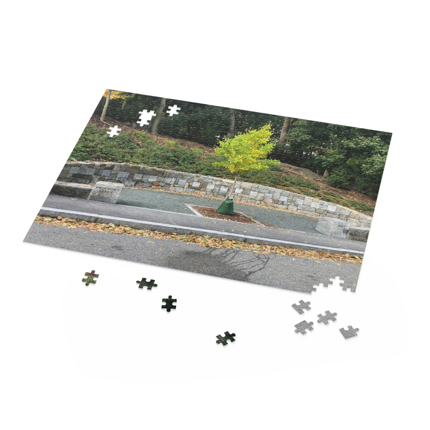 Proctor’s Edge Salem Scenic Puzzle (120, 252, 500-Piece)