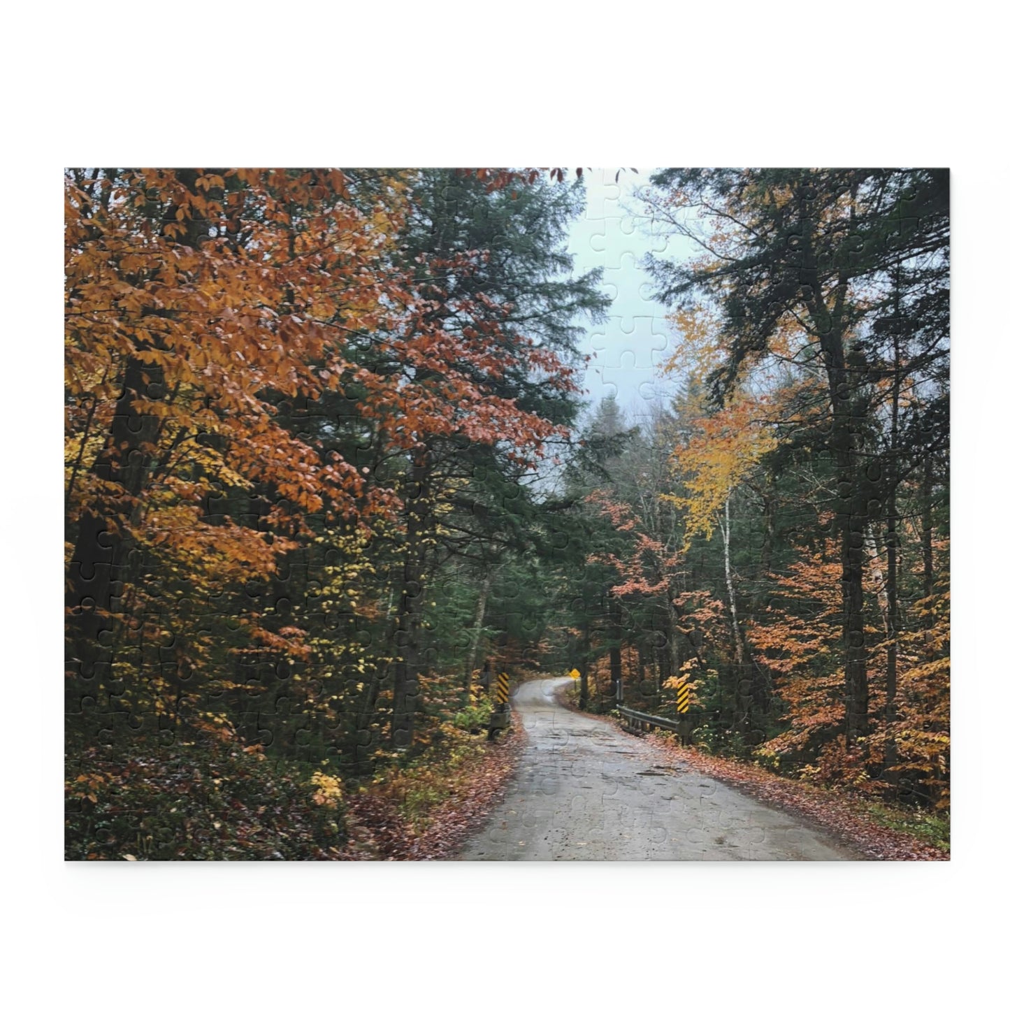 Fall Road in New England Scenic Puzzle (120, 252, 500-Piece)