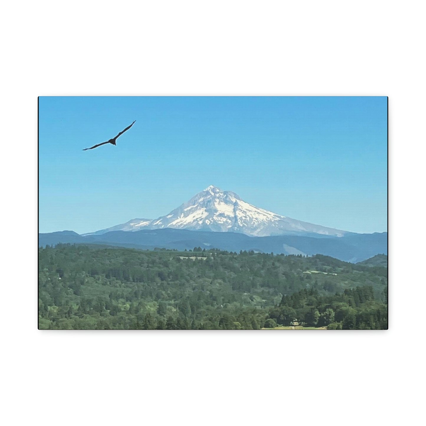 Mt Hood Scenic Canvas Gallery Wraps