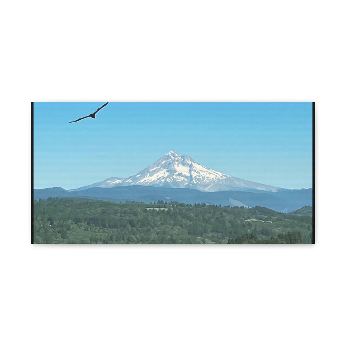 Mt Hood Scenic Canvas Gallery Wraps