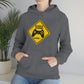 Gamer Zone Unisex Hooded Sweatshirt