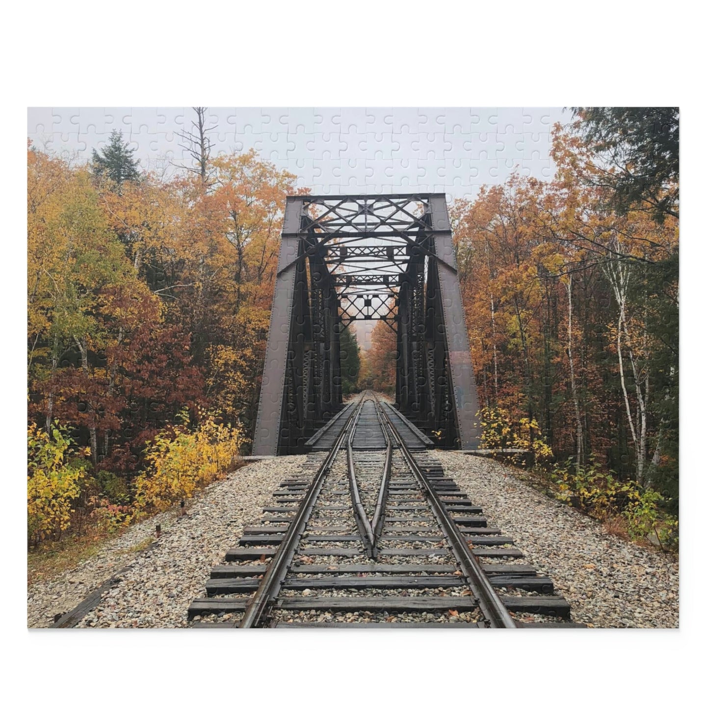 Train Tracks Scenic Puzzle (120, 252, 500-Piece)