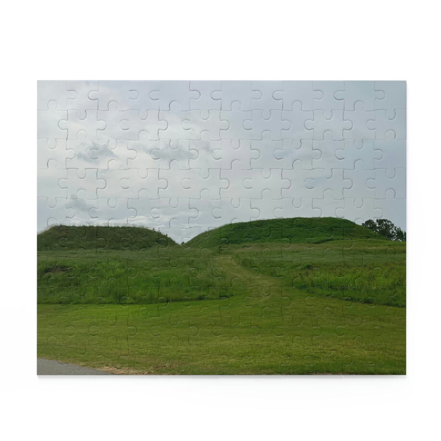 Ocmulgee Mounds Scenic Puzzle (120, 252, 500-Piece)