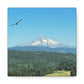 Mt Hood Scenic Canvas Gallery Wraps