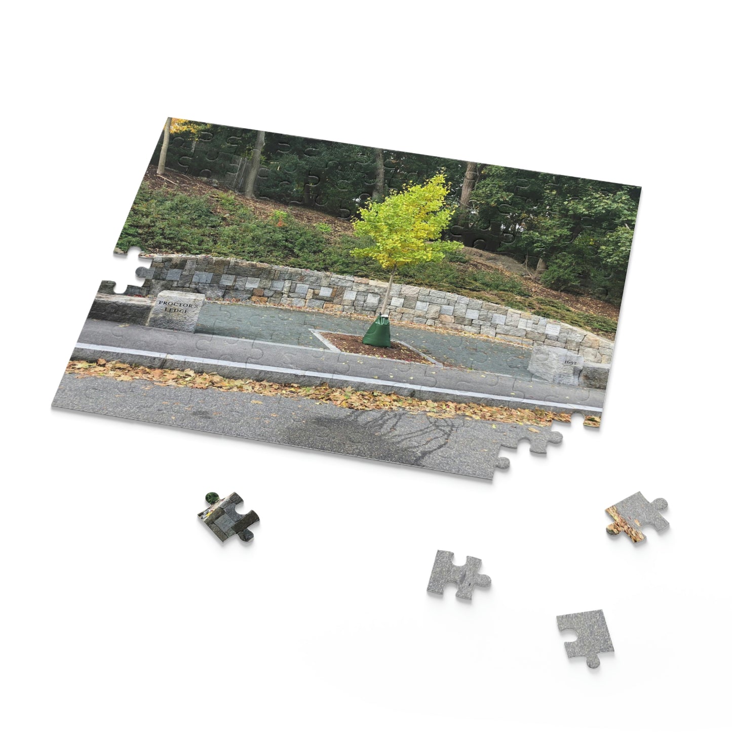 Proctor’s Edge Salem Scenic Puzzle (120, 252, 500-Piece)