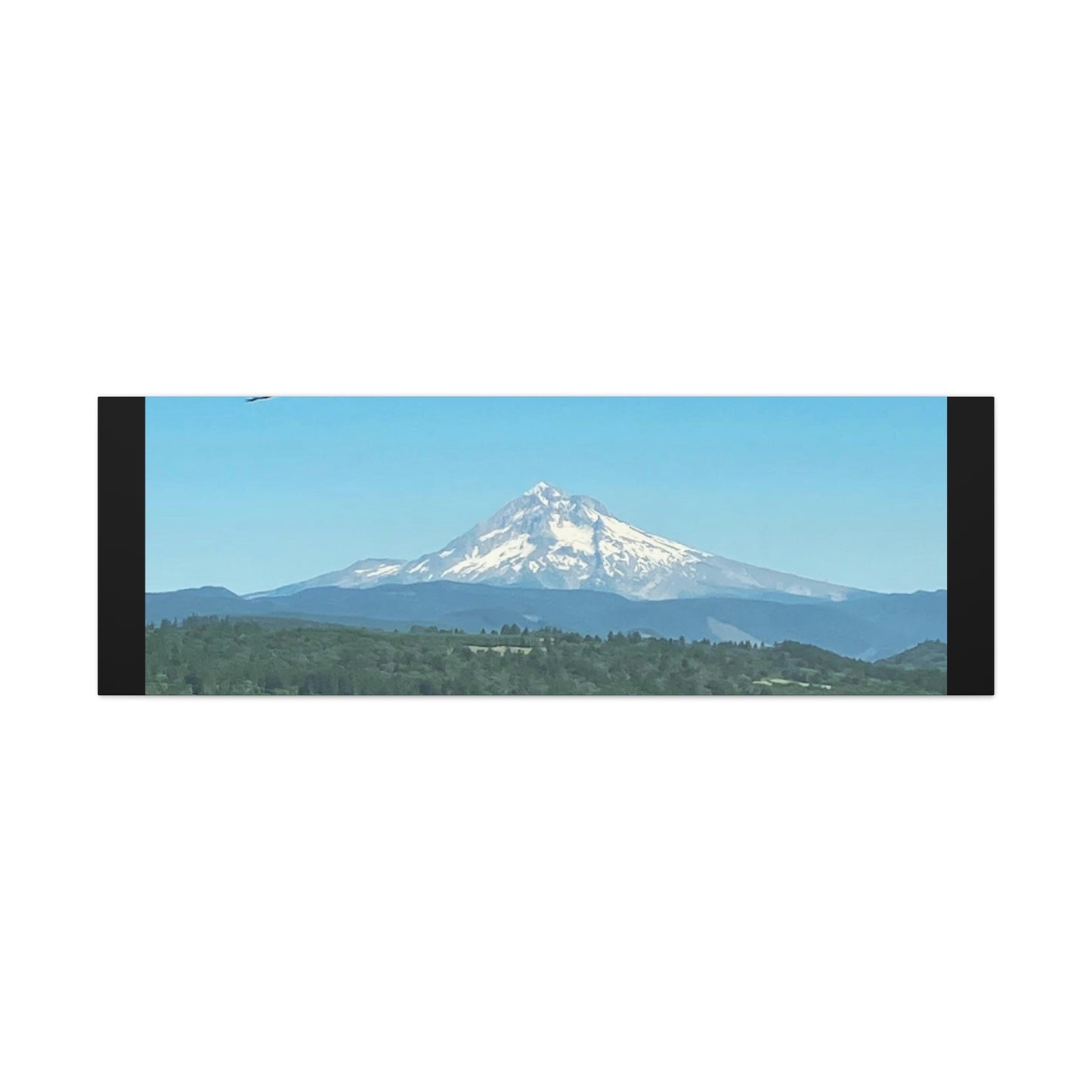 Mt Hood Scenic Canvas Gallery Wraps