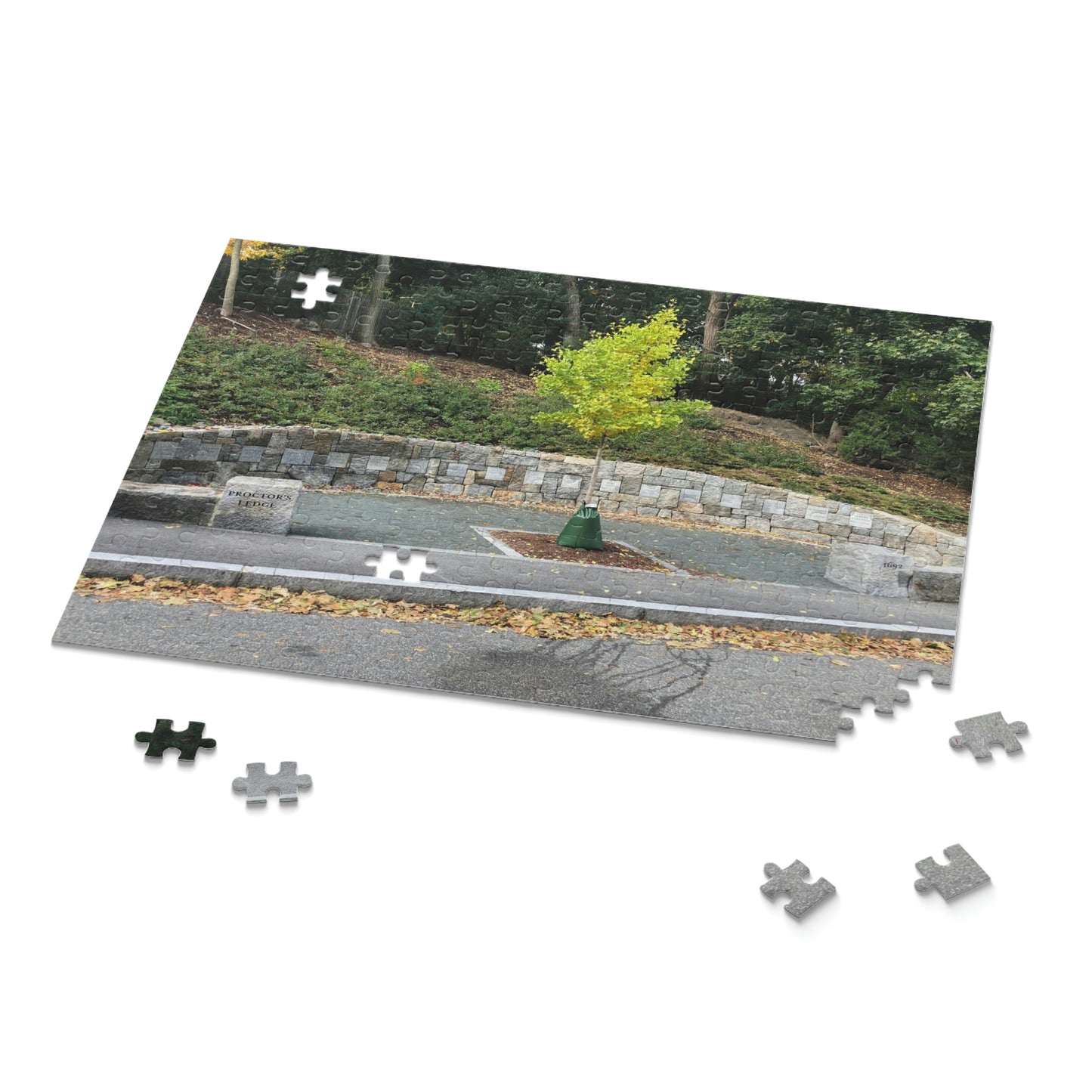 Proctor’s Edge Salem Scenic Puzzle (120, 252, 500-Piece)