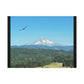 Mt Hood Scenic Canvas Gallery Wraps