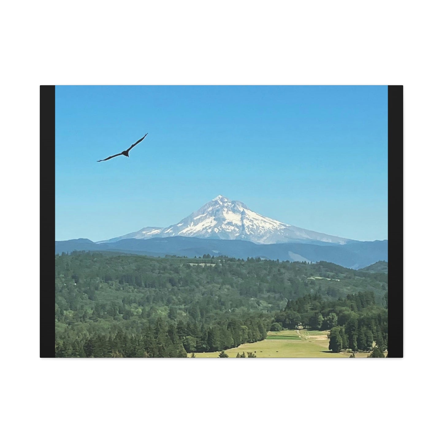 Mt Hood Scenic Canvas Gallery Wraps