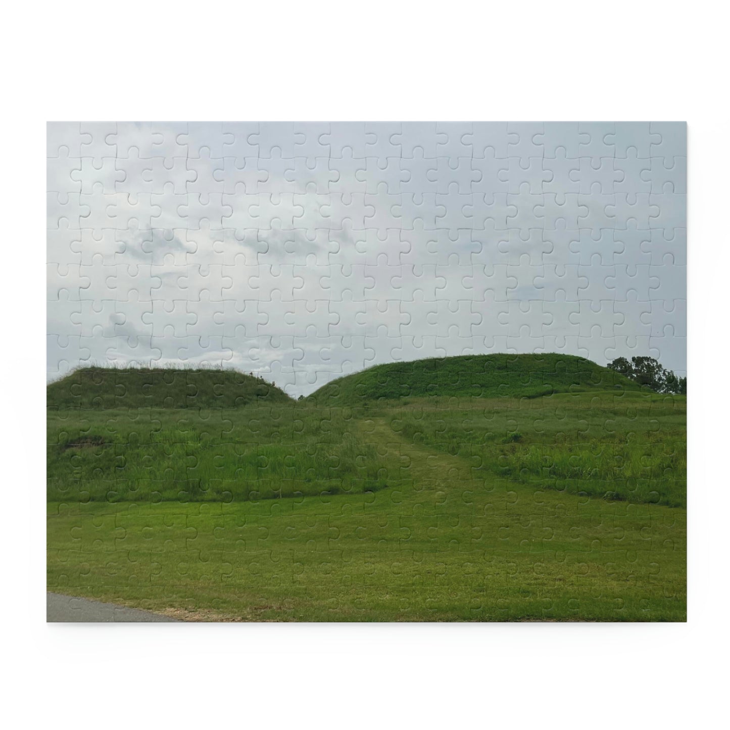 Ocmulgee Mounds Scenic Puzzle (120, 252, 500-Piece)