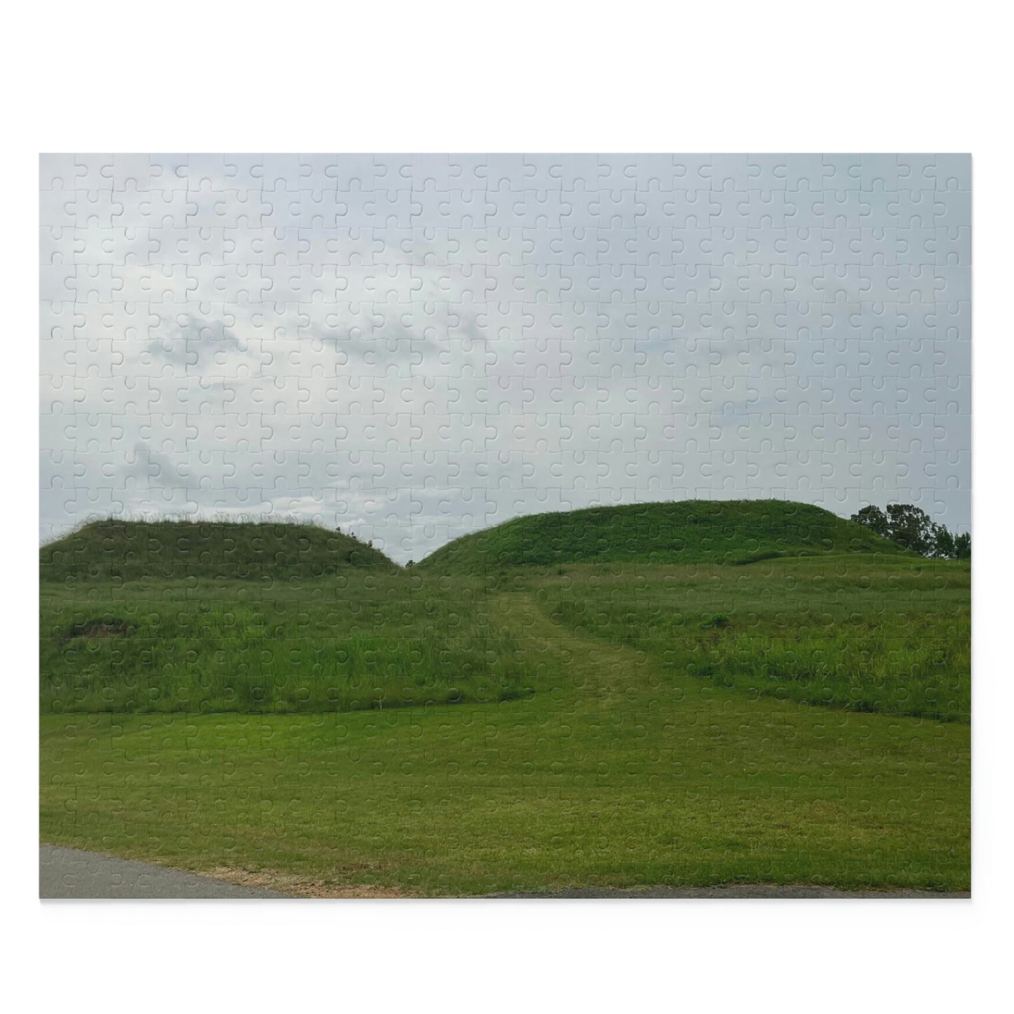 Ocmulgee Mounds Scenic Puzzle (120, 252, 500-Piece)