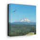 Mt Hood Scenic Canvas Gallery Wraps