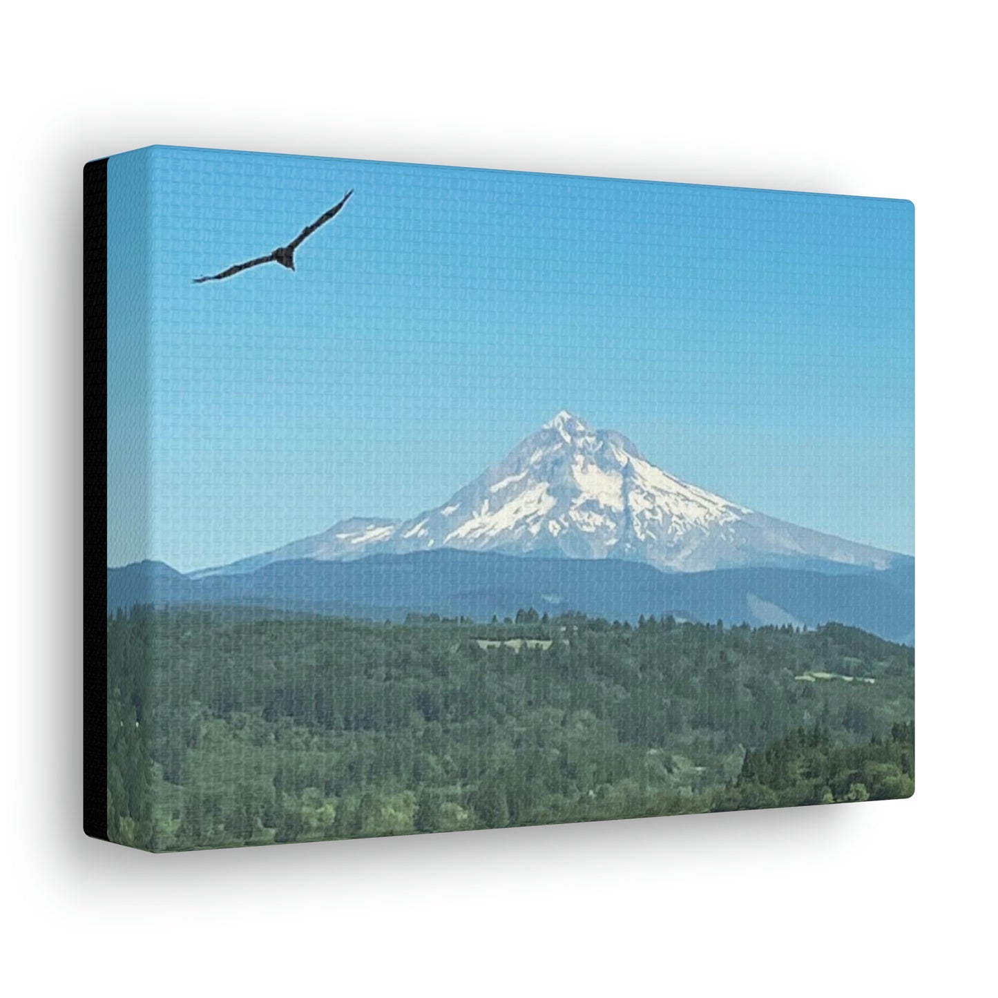 Mt Hood Scenic Canvas Gallery Wraps