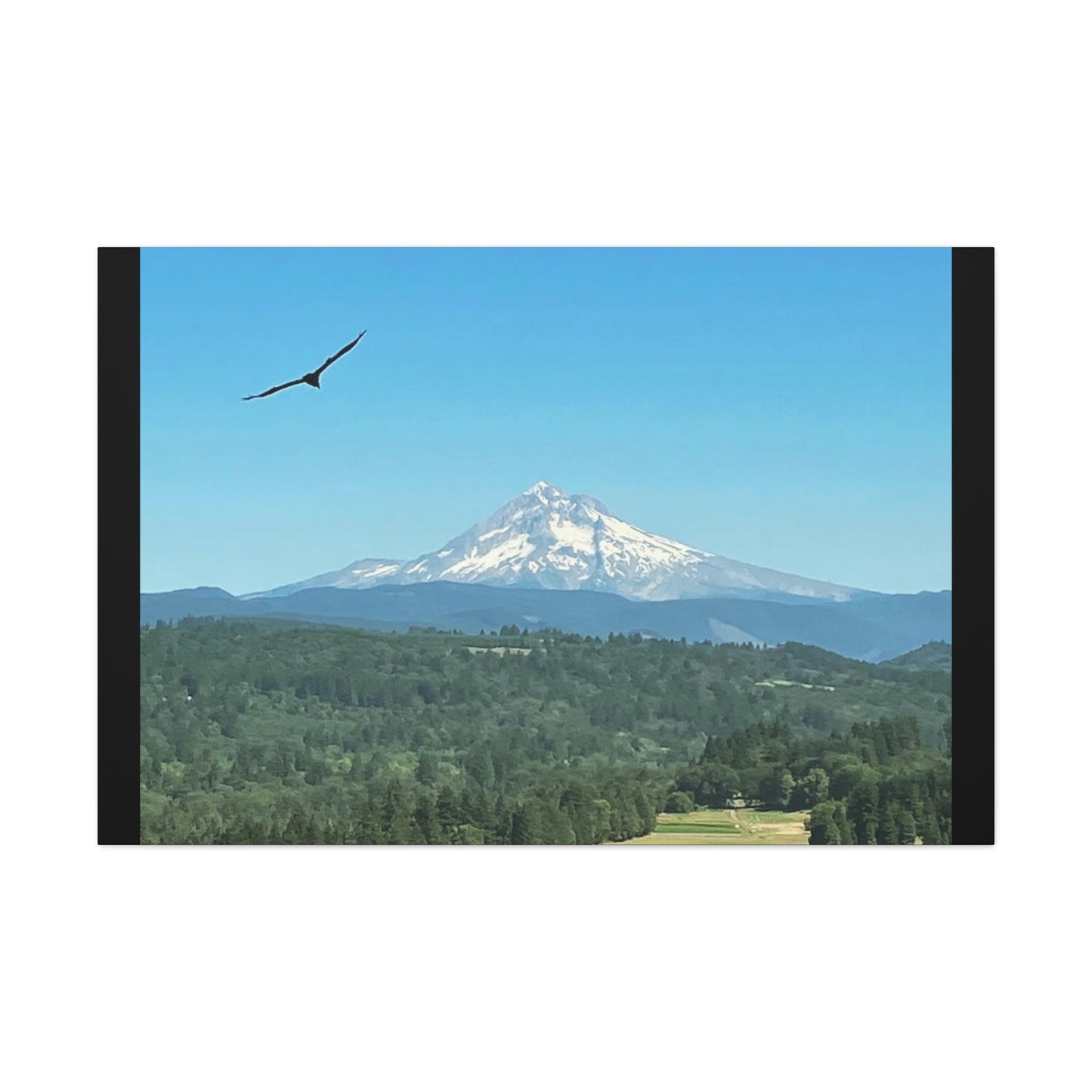 Mt Hood Scenic Canvas Gallery Wraps