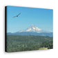 Mt Hood Scenic Canvas Gallery Wraps